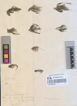 LE A0002866