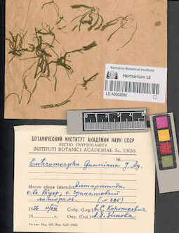 LE A0002868