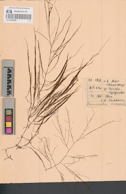LE A0002869