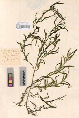 LE A0002872