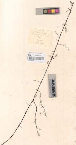 LE A0002876
