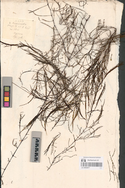 LE A0002877