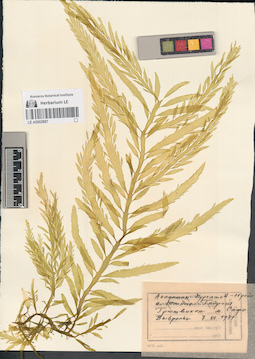 LE A0002887