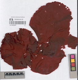 LE A0002897