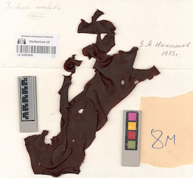 LE A0002898