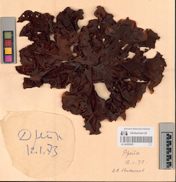 LE A0002901