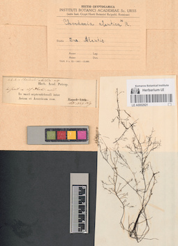 LE A0002921