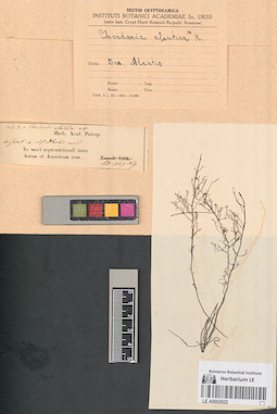 LE A0002922