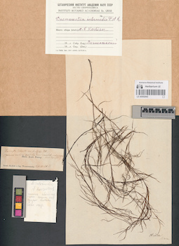 LE A0002943