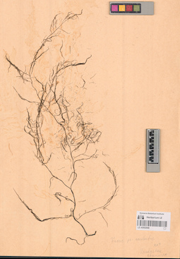 LE A0002948