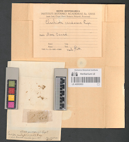LE A0002953