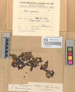 LE A0002957