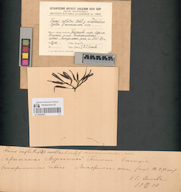 LE A0002962