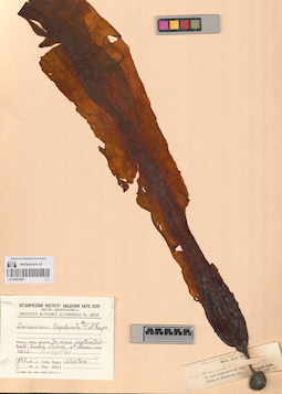LE A0002987