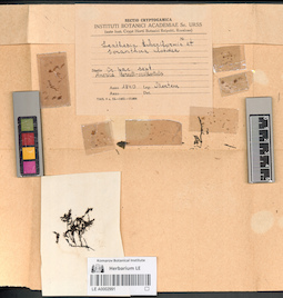 LE A0002991