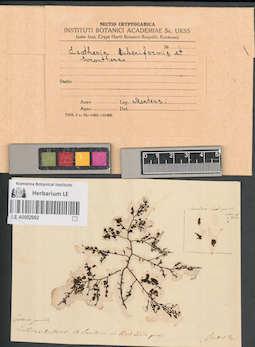 LE A0002992