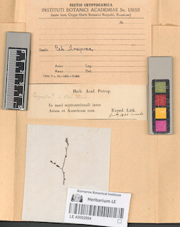 LE A0002994