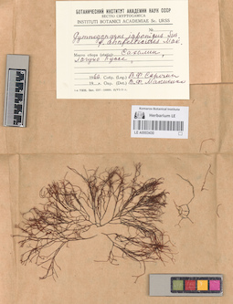 LE A0003430