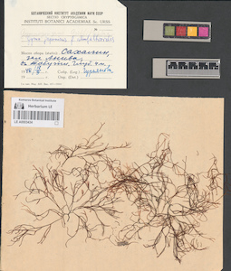 LE A0003434