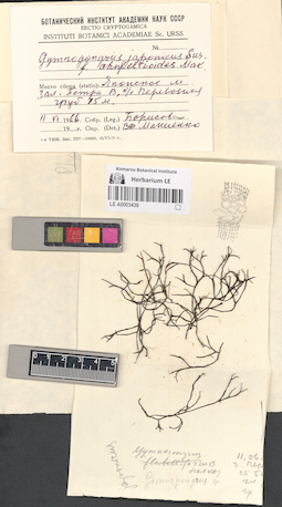 LE A0003439