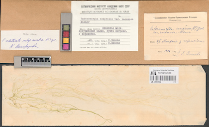 LE A0003602