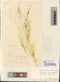 LE A0003607