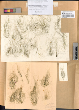 LE A0003609