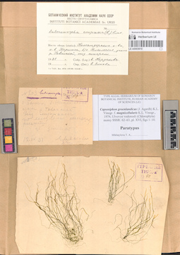 LE A0003610