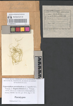 LE A0003612