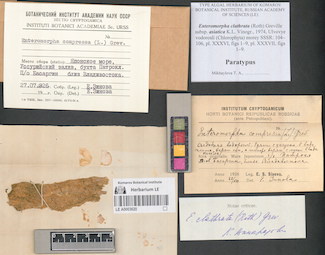 LE A0003620