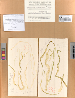 LE A0003622