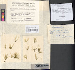 LE A0003623