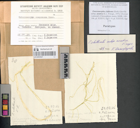 LE A0003627
