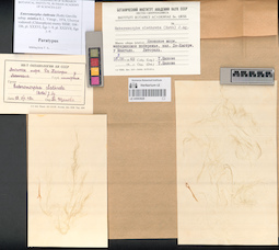 LE A0003628