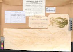 LE A0003629