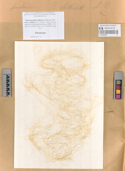LE A0003632
