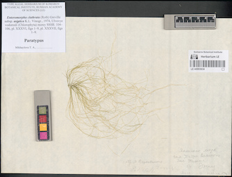 LE A0003634