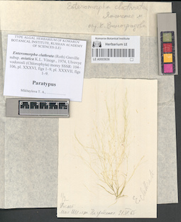 LE A0003636