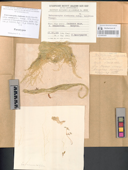 LE A0003638