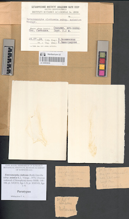 LE A0003639