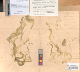 LE A0003640