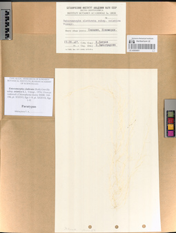 LE A0004001