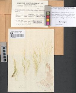 LE A0004004
