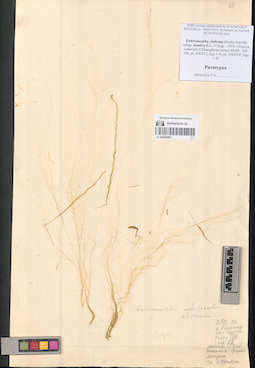 LE A0004007