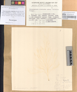 LE A0004008