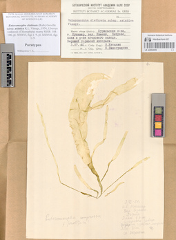 LE A0004009