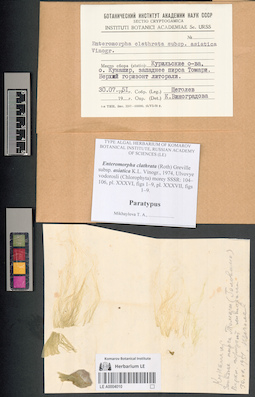 LE A0004010