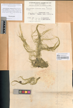 LE A0004011