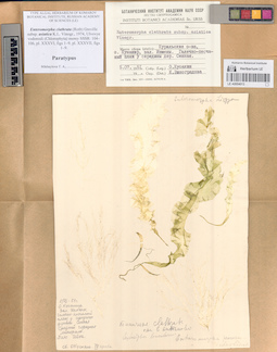 LE A0004013