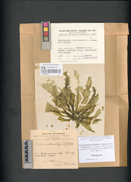 LE A0004015